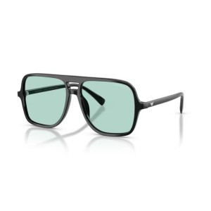 EMPORIO ARMANI EA4252U 5017/65
